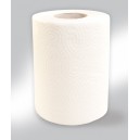 Papírové ručníky v rolích TOP MINI, 2 vrstvé, 100% celulosa, 50m (1role)